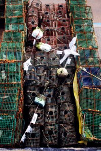 Pulperas puerto Cascais. Foto. Raquel López