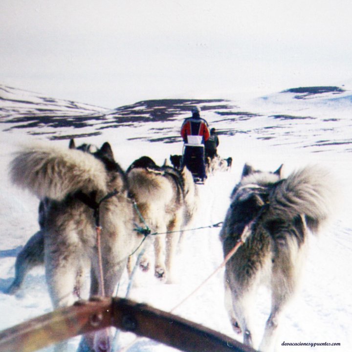 en trineo por svalbard