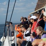 Delfines Sierra Helada