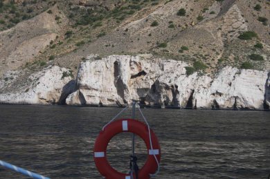 ¿Veis el Elefante de Sierra Helada? elefante