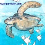 Liberación Tortuga Albir