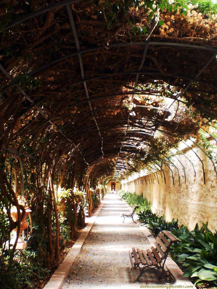 jardin valencia