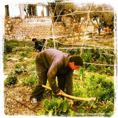 huerto Ecológico en el jardín de El Paraíso de Társila, Casa Rural de Villajoyosa