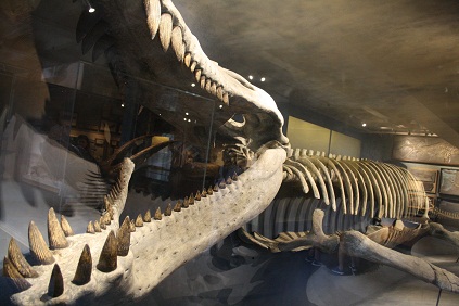 museocienciasnaturales