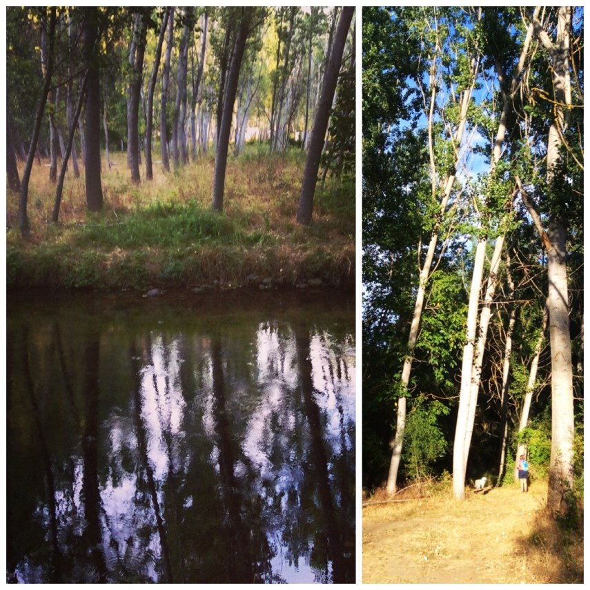 Montemayor del Río. Río Cuerpo de Hombre