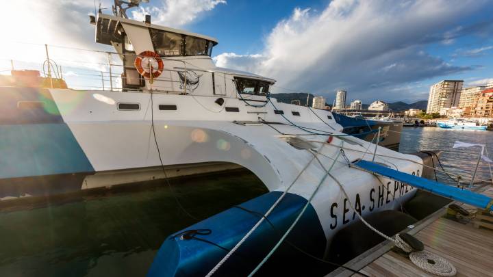 Imagen del fotógrafo José Ángel Flores