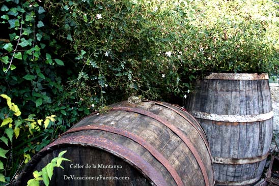 bodega_alicante_muro