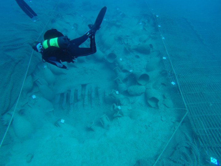 visitas pecio bou ferrer 2015